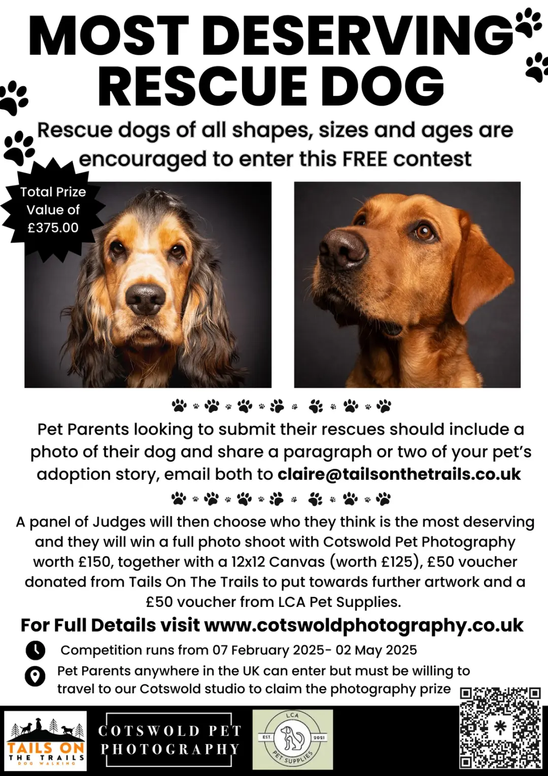 rescue dog, competition, rescue dog photoshoot, dog photographer