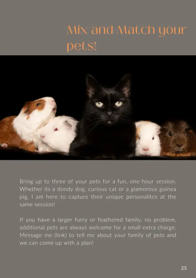 Brochure page 25: Mix and Match your pets!