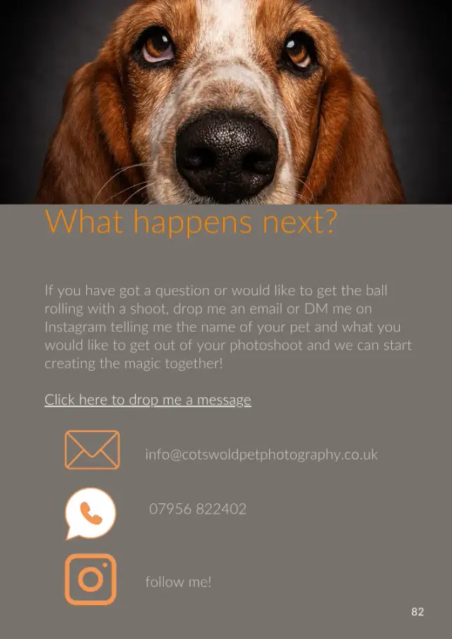Brochure page 84: What happens next?