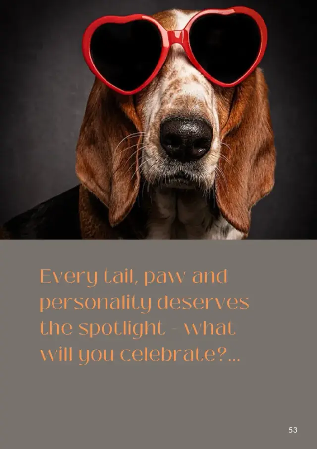Brochure page 55: Every tail, paw and personality deserves the spotlight - what will you celebrate?