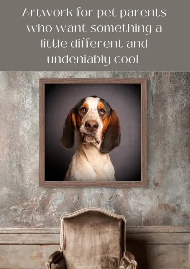 Brochure page 29: Artwork for pet parents who want something a little different and undeniably cool