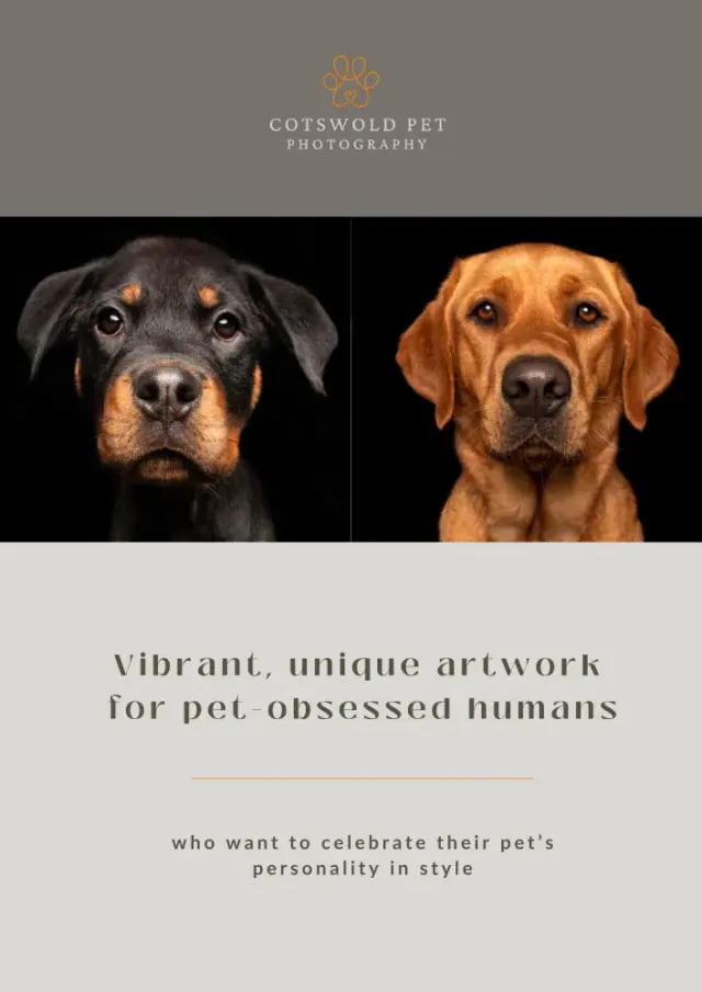 Cover of the brochure: Vibrant, unique artwork for pet-obsessed humans